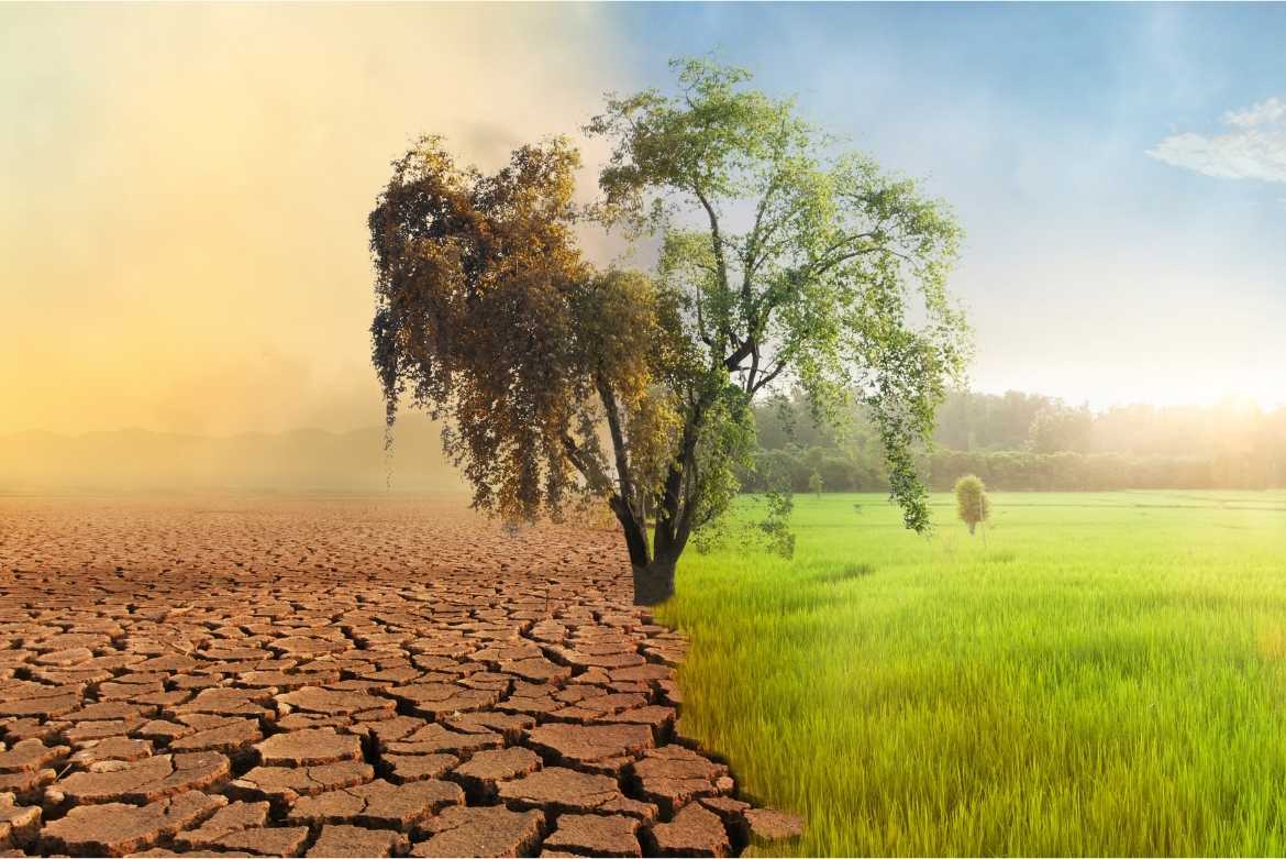 7 Acciones para reducir el impacto ambiental del cambio climático en CDMX